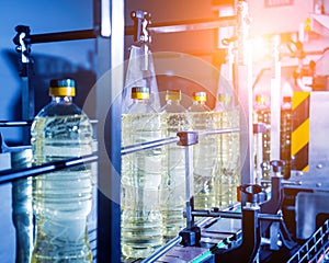 Bottling line of sunflower oil in bottles. Vegetable oil production plant.