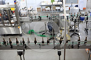 Bottling plant at a winery