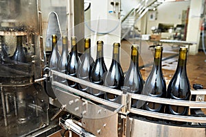 Bottling and sealing conveyor line at wine factory