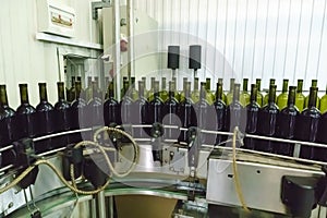 Bottling and sealing conveyor line winery factory