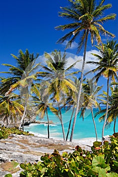 Bottom Bay, Barbados photo