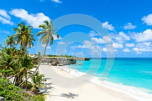 Bottom Bay, Barbados - Paradise beach on the Caribbean island of Barbados. Tropical coast with palms hanging over turquoise sea.