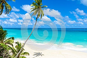 Bottom Bay, Barbados - Paradise beach on the Caribbean island of Barbados. Tropical coast with palms hanging over turquoise sea.