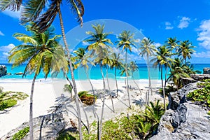 Bottom Bay, Barbados - Paradise beach on the Caribbean island of Barbados. Tropical coast with palms hanging over turquoise sea.