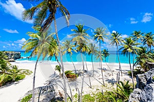 Bottom Bay, Barbados - Paradise beach on the Caribbean island of Barbados. Tropical coast with palms hanging over turquoise sea.
