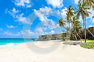 Bottom Bay, Barbados - Paradise beach on the Caribbean island of Barbados. Tropical coast with palms hanging over turquoise sea.