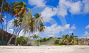 On Bottom Bay Beach, Barbados photo