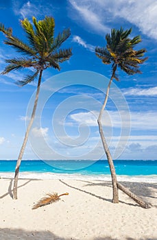 Bottom Bay beach in Barbados