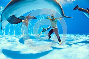 On the bottom of the dolphinarium photo