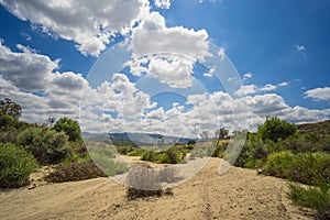 Bottom of Dry Riverbed