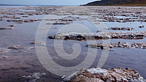 The bottom of a dying estuary, lake. Self-precipitating salt covers stones with a layer of white crystals, an environmental