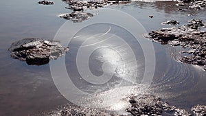 The bottom of a dying estuary, lake. Self-precipitating salt covers stones with a layer of white crystals, an environmental