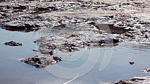 The bottom of a dying estuary, lake. Self-precipitating salt covers stones with a layer of white crystals, an environmental