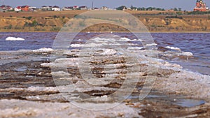 The bottom of a dying estuary, lake. Self-precipitating salt covers stones with a layer of white crystals, an environmental