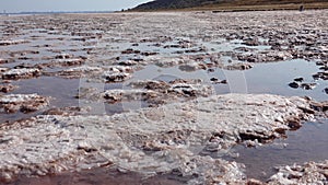 The bottom of a dying estuary, lake. Self-precipitating salt covers stones with a layer of white crystals, an environmental