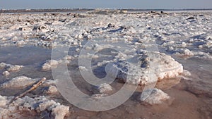 The bottom of a dying estuary, lake. Self-precipitating salt covers stones with a layer of white crystals, an environmental