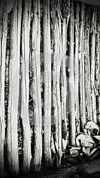 Bottom in Ghost Bungalow found in Jungle