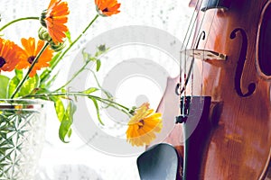 Bottom half of a violin with sheet music and flowers the front of the fiddle on windows background