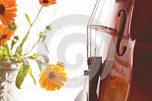 Bottom half of a violin with sheet music and flowers the front o