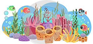 Bottom of reservoir. Sea ocean. Coral reef. Underwater. Landscape with plants, algae and corals. Bubbles. Isolated