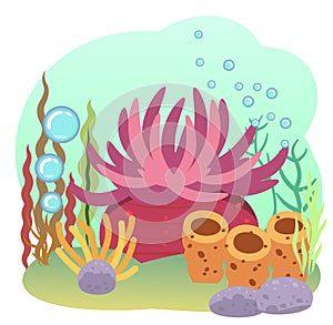 Bottom of reservoir. Sea ocean. Underwater. Landscape with plants, algae and corals. Coral reef. Bubbles. Isolated
