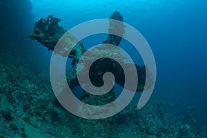 Bottom sunken ship wreck underwater