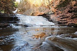 Bottom Tier of Myosotis Falls