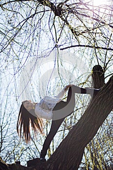 Bottom view charming cute slim girl gymnast is on top of unusual tree without leaves and executes elements of stretching