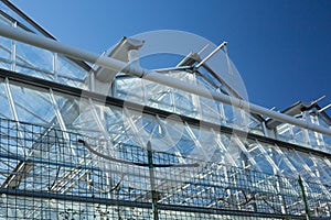 Bottom view of a greenhouse