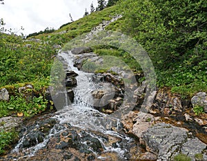 Bottom view of a mountain stream with waterfalls and green plants around
