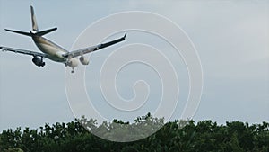 Bottom view of plane take off above the park of city flying among clear blue sky. Shot. Low-flying plane over the Park