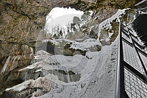 Bottom view of the sink-hole to enter the Scarisoara cave towards the Parjolii Ridge, Romania..