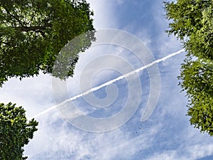 Bottom view of sky, clouds, and trees. copy space provided for background. jet aircraft contrail