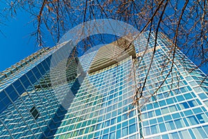 Bottom view of skyscraper and tree, Atlanta, USA