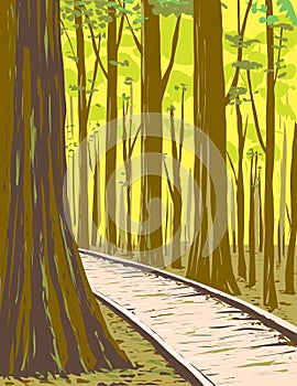 Bottomland Hardwood Forest in Congaree National Park South Carolina WPA Poster Art