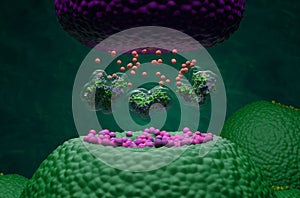 Botulinum neurotoxin C1 blocks neurotransmitter release - 3d illustration isometric view photo