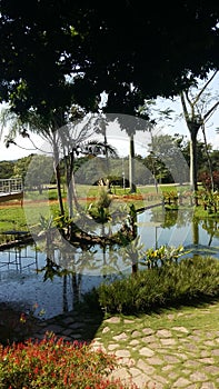 BotÃÂ¢nico Garden at SÃÂ£o JosÃÂ© dos Campos photo