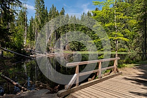 Boubin lake, primeval forest, Bohemian Forest National Park.