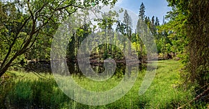 Boubin lake, primeval forest, Bohemian Forest National Park.