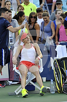 Bouchard Genie CAN (9)