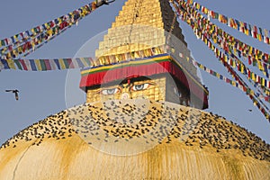 Boudhanath Stupa in Kathmandu, Nepal