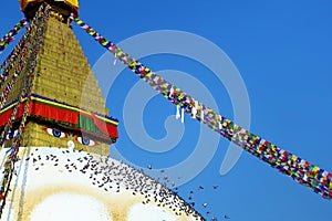 Boudhanath Stupa with Tibetan Prayer Flags and Pigeons