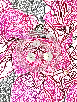 Plantas trepadoras obras de arte lápiz ataque gris a rosa 