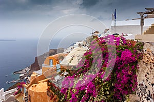 Bougainvillea in bloom over orange houses in the center of Oia