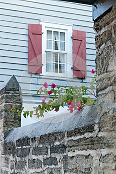 Bougainvillea climbing over a stone wall II