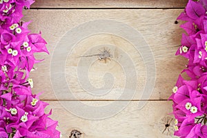 Bougainvillea flower on wood background