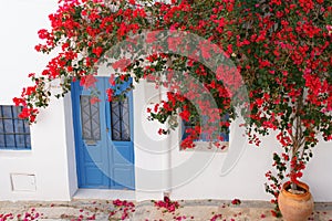 Bougainvillea flowered on the facade of a house typical of Nijar, Andalusia, Spain photo