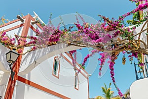 Bougainvillea flowers growing in the streets of Puerto de Mogan. Gran Canaria, Spain