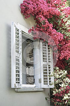 Bougainvillea flowers by window