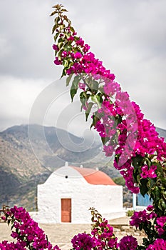 Bougainvillea and Holy Triad Monastery in Mesochori